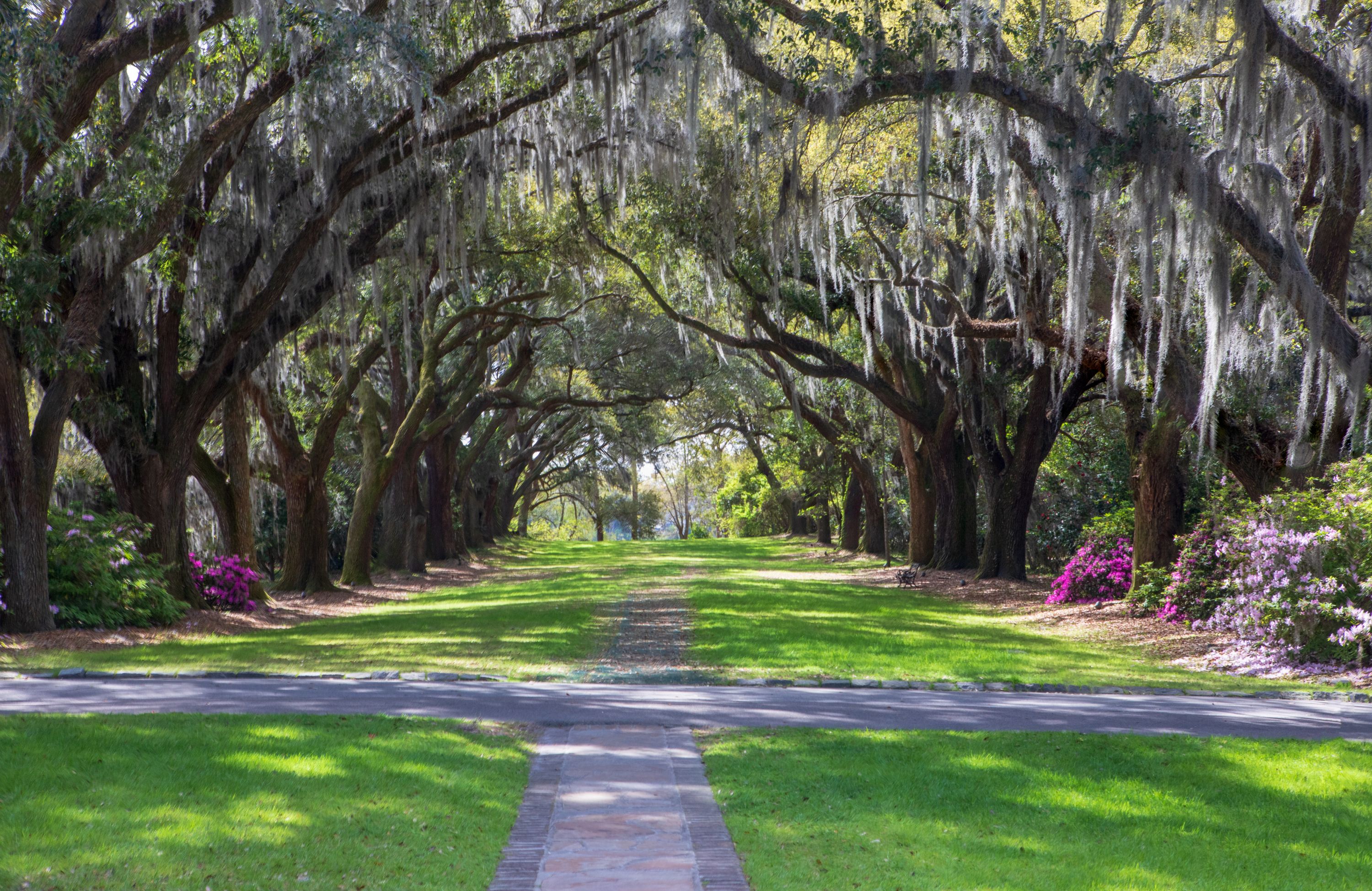 West Ashley Shutterstock 1374145955